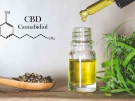 CBD Oil for Dogs: 4 Amazing Health Benefits for Your Pet