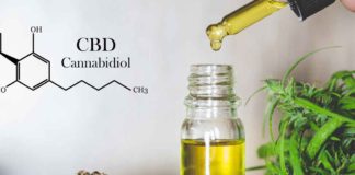 CBD Oil for Dogs: 4 Amazing Health Benefits for Your Pet