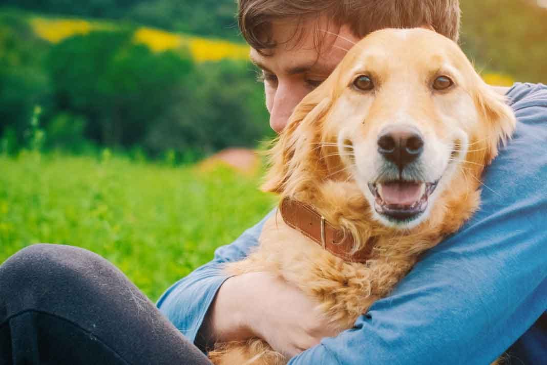 How Your Anxious Dog Can Benefit from CBD Oil