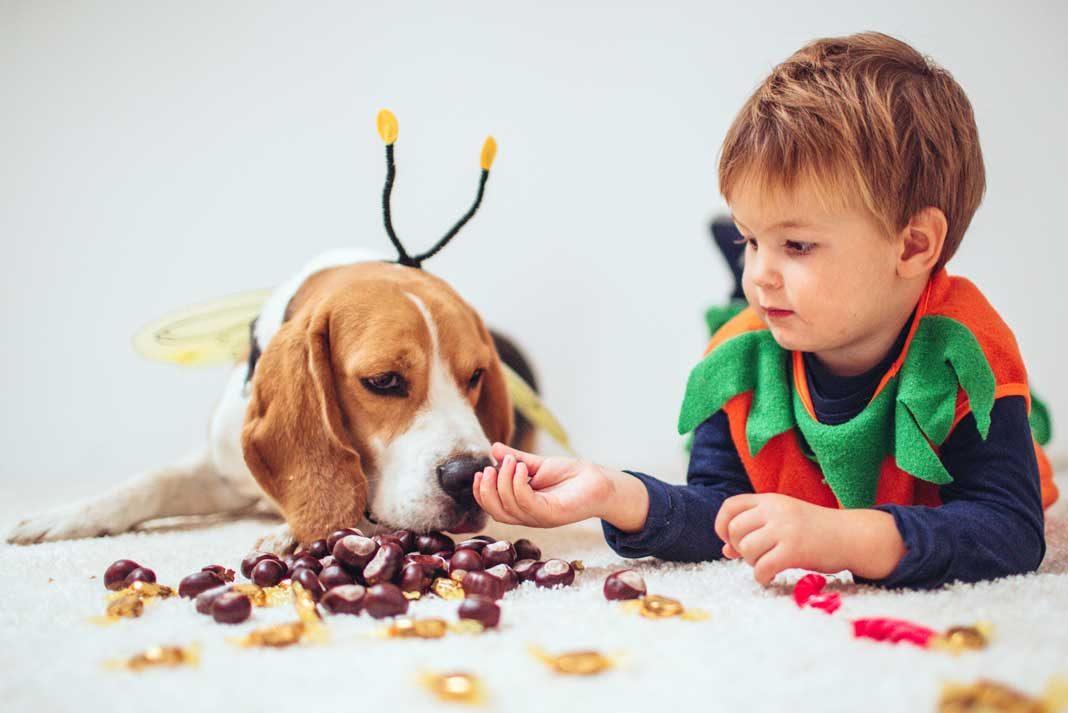 What to Do If Your Dog Eats Something Bad