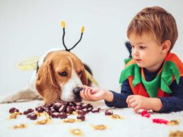 What to Do If Your Dog Eats Something Bad