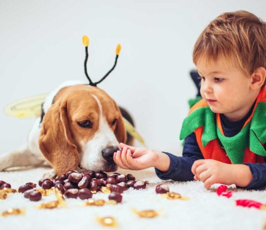 What to Do If Your Dog Eats Something Bad